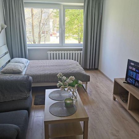 Modern Studio Debreceno, Self-Check-In, Free Parking Κλαϊπέντα Εξωτερικό φωτογραφία