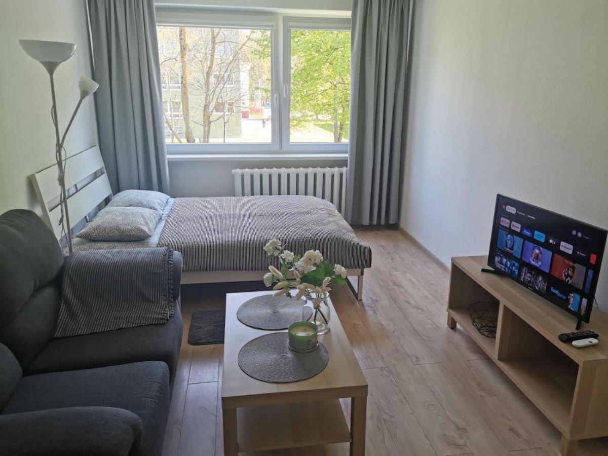 Modern Studio Debreceno, Self-Check-In, Free Parking Κλαϊπέντα Εξωτερικό φωτογραφία
