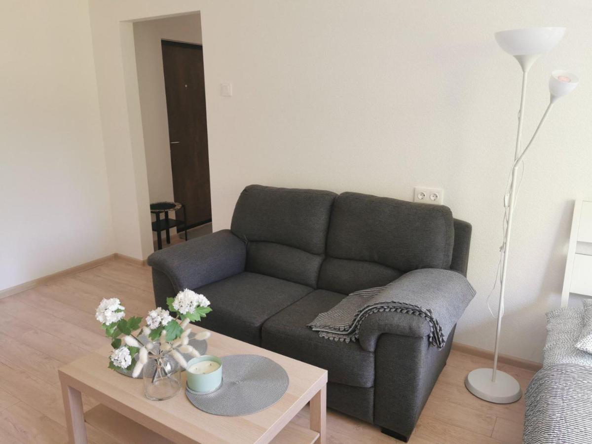 Modern Studio Debreceno, Self-Check-In, Free Parking Κλαϊπέντα Εξωτερικό φωτογραφία